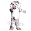 Wolf mascot costume