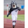 Wolf mascot costume