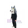 Wolf mascot costume