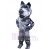 Wolf mascot costume