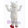 Wolf mascot costume