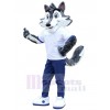 Wolf mascot costume