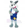 Wolf mascot costume