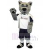 Wolf mascot costume