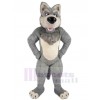 Wolf mascot costume