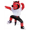 Wolf mascot costume