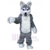 Wolf mascot costume