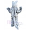 Wolf mascot costume