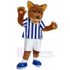 Wolf mascot costume