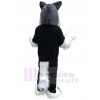 Wolf mascot costume