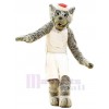 Wolf mascot costume