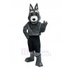 Coyote mascot costume