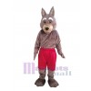 Coyote mascot costume