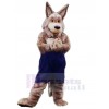 Wolf mascot costume