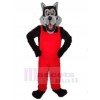 Wolf mascot costume