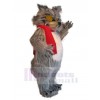 Wolf mascot costume