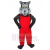 Wolf mascot costume