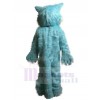 Wolf mascot costume