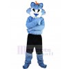 Wolf mascot costume