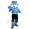 Wolf mascot costume