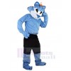 Wolf mascot costume