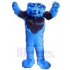 Wolf mascot costume