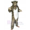 Wolf mascot costume