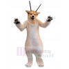 Wolf mascot costume