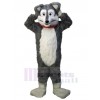 Wolf mascot costume