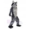 Wolf mascot costume
