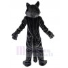 Wolf mascot costume