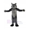 Wolf mascot costume