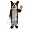 Wolf mascot costume