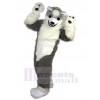 Wolf mascot costume