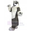 Wolf mascot costume