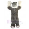 Wolf mascot costume