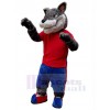 Wolf mascot costume