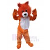 Wolf mascot costume