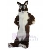 Wolf mascot costume