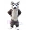 Wolf mascot costume