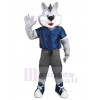 Wolf mascot costume