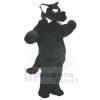 Wolf mascot costume