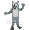 Wolf mascot costume