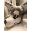 Wolf mascot costume