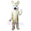 Wolf mascot costume