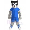 Wolf mascot costume