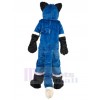 Wolf mascot costume