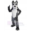 Wolf mascot costume