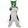 Wolf mascot costume