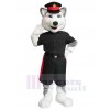 Wolf mascot costume